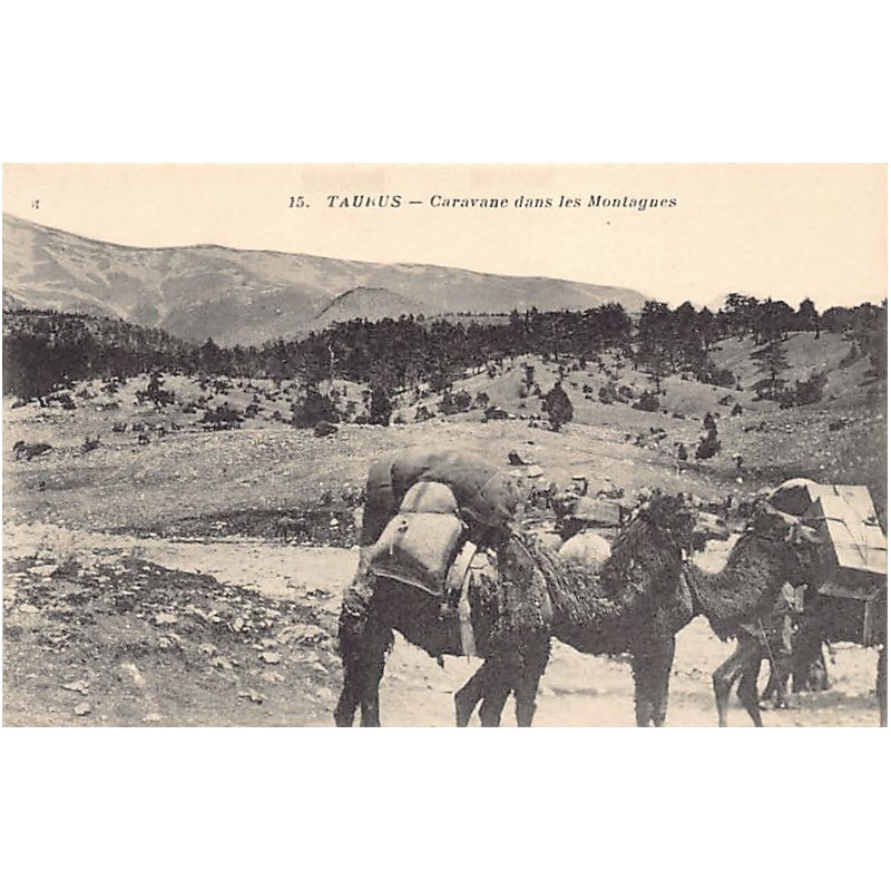 Rare collectable postcards of TURKEY. Vintage Postcards of TURKEY