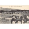 Rare collectable postcards of TURKEY. Vintage Postcards of TURKEY