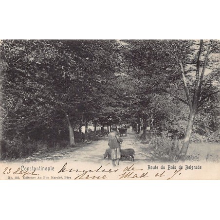 Rare collectable postcards of TURKEY. Vintage Postcards of TURKEY