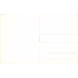 Rare collectable postcards of TURKEY. Vintage Postcards of TURKEY