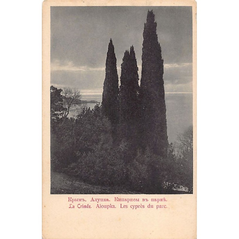 Rare collectable postcards of UKRAINE. Vintage Postcards of UKRAINE