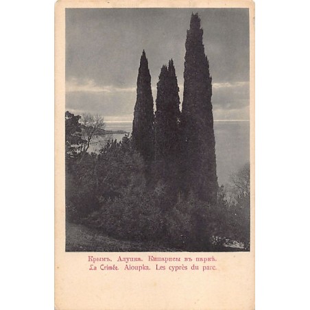 Rare collectable postcards of UKRAINE. Vintage Postcards of UKRAINE