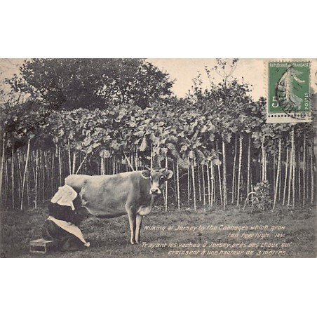 Rare collectable postcards of JERSEY. Vintage Postcards of JERSEY