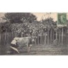Rare collectable postcards of JERSEY. Vintage Postcards of JERSEY