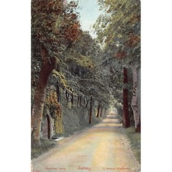 Rare collectable postcards of JERSEY. Vintage Postcards of JERSEY