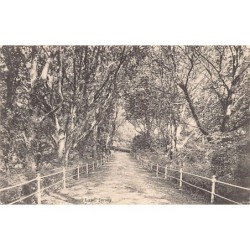 Rare collectable postcards of JERSEY. Vintage Postcards of JERSEY