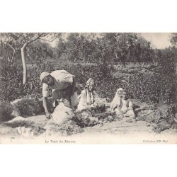 Rare collectable postcards of ALGERIA Algérie. Vintage Postcards of ALGERIA Algérie