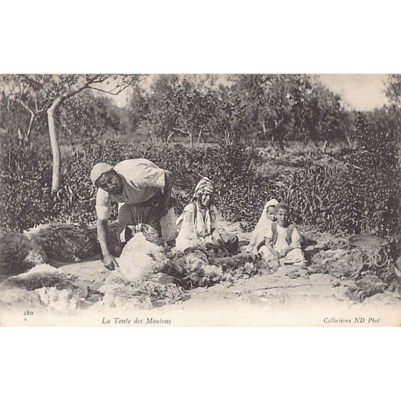 Rare collectable postcards of ALGERIA Algérie. Vintage Postcards of ALGERIA Algérie