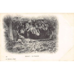 Rare collectable postcards of ALGERIA Algérie. Vintage Postcards of ALGERIA Algérie