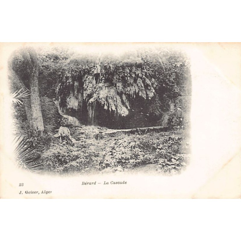 Rare collectable postcards of ALGERIA Algérie. Vintage Postcards of ALGERIA Algérie
