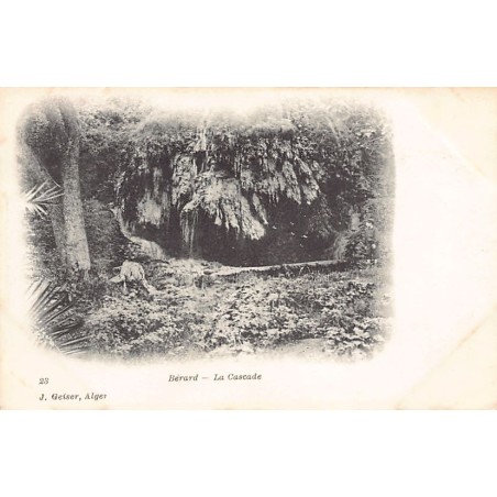 Rare collectable postcards of ALGERIA Algérie. Vintage Postcards of ALGERIA Algérie