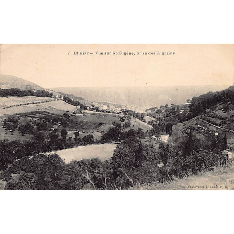 Rare collectable postcards of ALGERIA Algérie. Vintage Postcards of ALGERIA Algérie