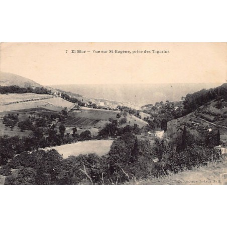 Rare collectable postcards of ALGERIA Algérie. Vintage Postcards of ALGERIA Algérie