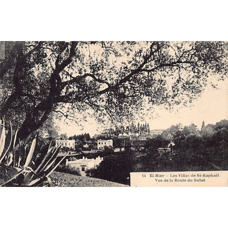 Rare collectable postcards of ALGERIA Algérie. Vintage Postcards of ALGERIA Algérie