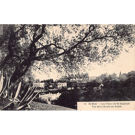 Rare collectable postcards of ALGERIA Algérie. Vintage Postcards of ALGERIA Algérie