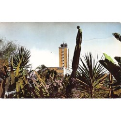 Rare collectable postcards of ALGERIA Algérie. Vintage Postcards of ALGERIA Algérie
