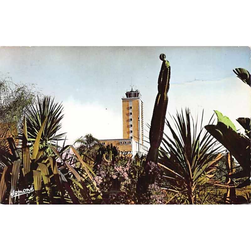 Rare collectable postcards of ALGERIA Algérie. Vintage Postcards of ALGERIA Algérie