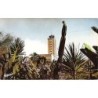 Rare collectable postcards of ALGERIA Algérie. Vintage Postcards of ALGERIA Algérie