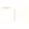 Rare collectable postcards of ALGERIA Algérie. Vintage Postcards of ALGERIA Algérie