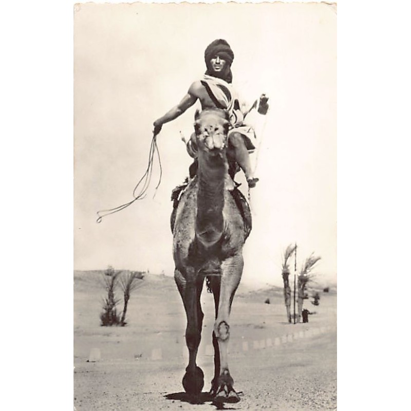 Rare collectable postcards of ALGERIA Algérie. Vintage Postcards of ALGERIA Algérie