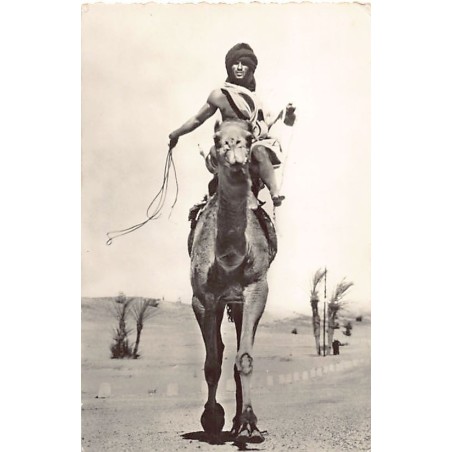 Rare collectable postcards of ALGERIA Algérie. Vintage Postcards of ALGERIA Algérie