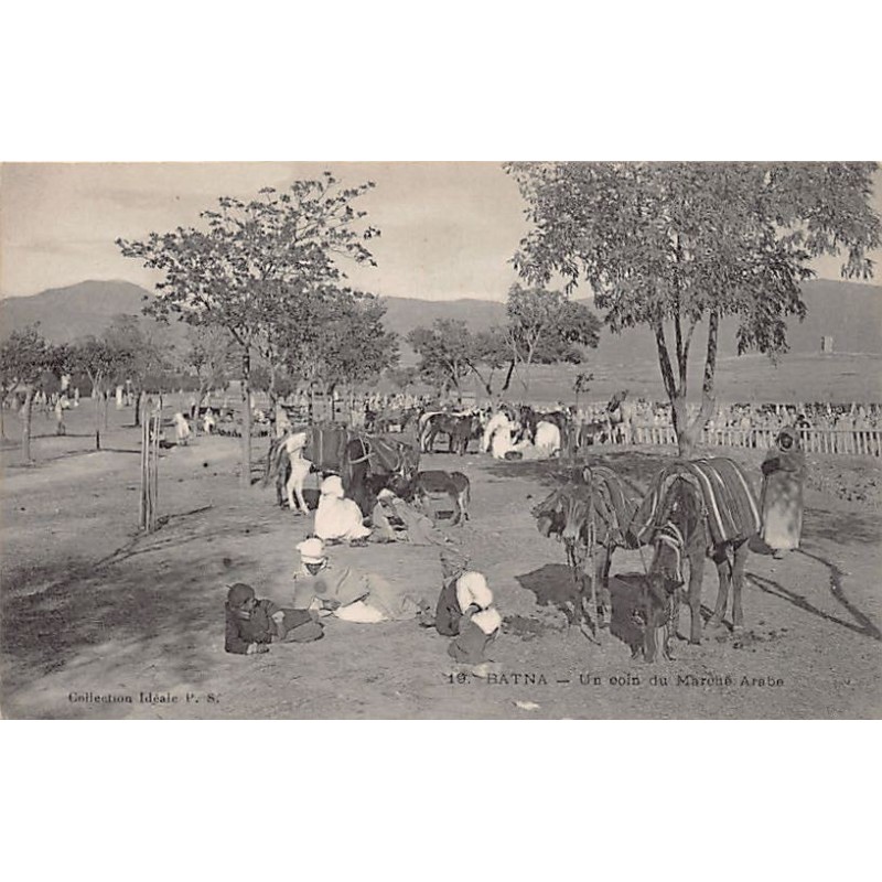 Rare collectable postcards of ALGERIA Algérie. Vintage Postcards of ALGERIA Algérie