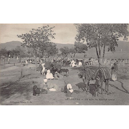 Rare collectable postcards of ALGERIA Algérie. Vintage Postcards of ALGERIA Algérie