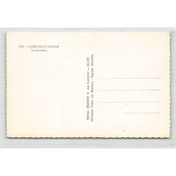 Rare collectable postcards of ALGERIA Algérie. Vintage Postcards of ALGERIA Algérie