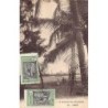 Rare collectable postcards of CAMEROON. Vintage Postcards of CAMEROON