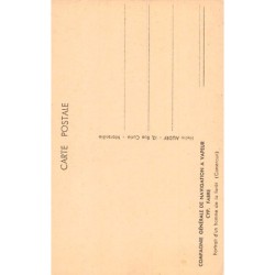 Rare collectable postcards of CAMEROON. Vintage Postcards of CAMEROON