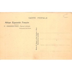 Rare collectable postcards of CENTRAL AFRICAN REPUBLIC. Vintage Postcards of CENTRAL AFRICAN REPUBLIC