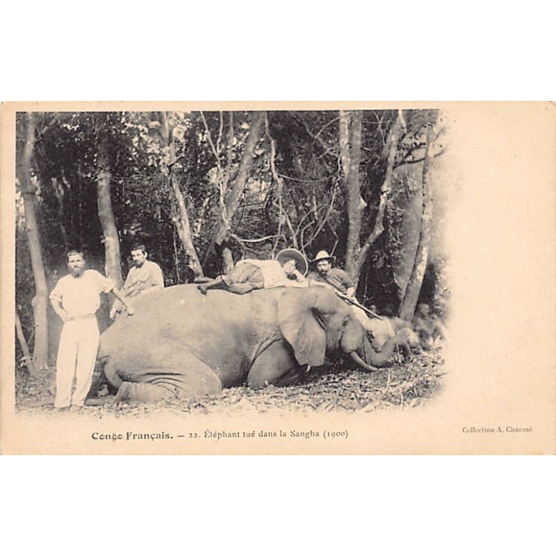 Rare collectable postcards of CONGO BRAZZAVILLE. Vintage Postcards of CONGO BRAZZAVILLE