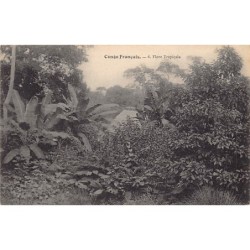 Rare collectable postcards of CONGO BRAZZAVILLE. Vintage Postcards of CONGO BRAZZAVILLE