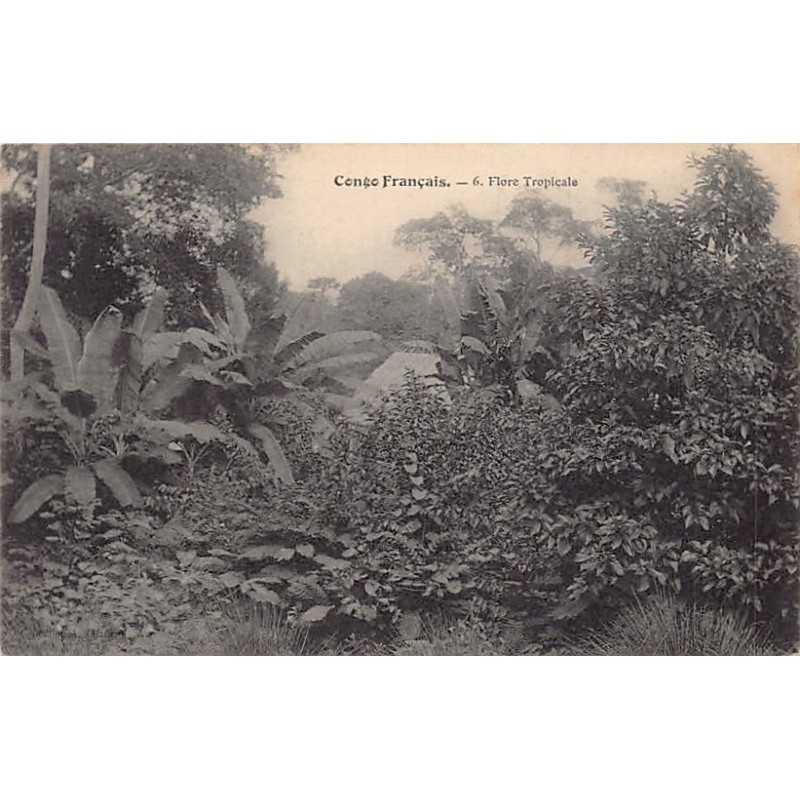 Rare collectable postcards of CONGO BRAZZAVILLE. Vintage Postcards of CONGO BRAZZAVILLE