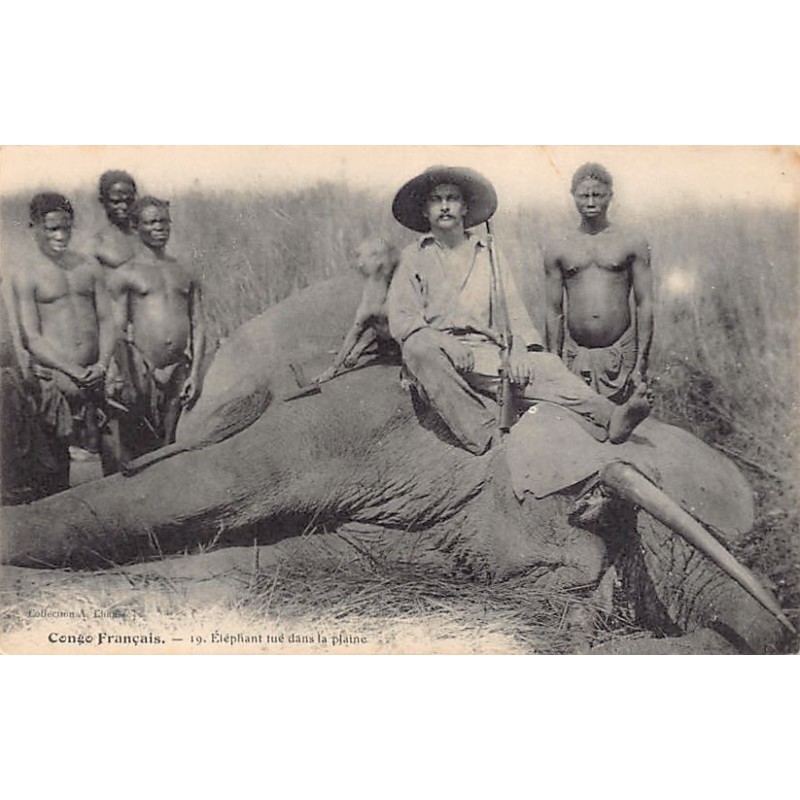 Rare collectable postcards of CONGO BRAZZAVILLE. Vintage Postcards of CONGO BRAZZAVILLE