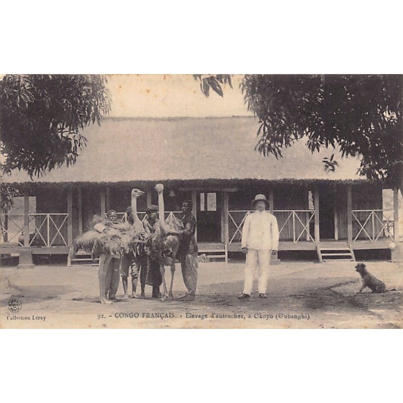 Rare collectable postcards of CONGO BRAZZAVILLE. Vintage Postcards of CONGO BRAZZAVILLE