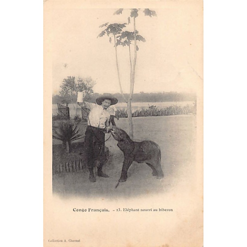 Rare collectable postcards of CONGO BRAZZAVILLE. Vintage Postcards of CONGO BRAZZAVILLE