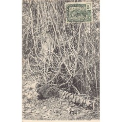 Rare collectable postcards of CONGO BRAZZAVILLE. Vintage Postcards of CONGO BRAZZAVILLE