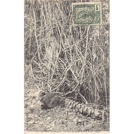 Rare collectable postcards of CONGO BRAZZAVILLE. Vintage Postcards of CONGO BRAZZAVILLE