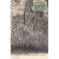 Rare collectable postcards of CONGO BRAZZAVILLE. Vintage Postcards of CONGO BRAZZAVILLE