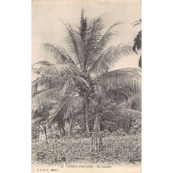 Rare collectable postcards of CONGO BRAZZAVILLE. Vintage Postcards of CONGO BRAZZAVILLE