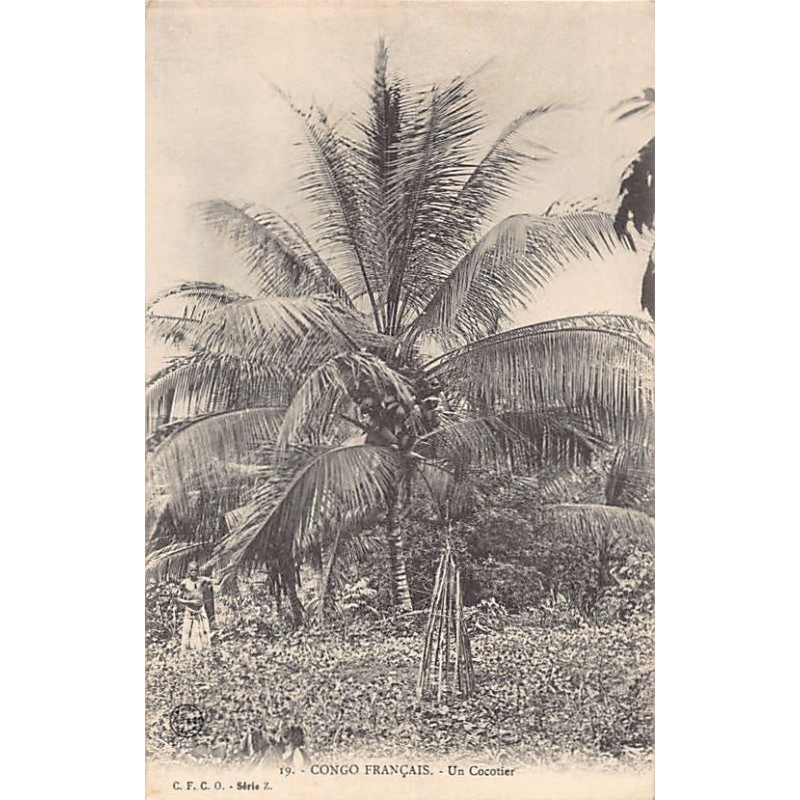 Rare collectable postcards of CONGO BRAZZAVILLE. Vintage Postcards of CONGO BRAZZAVILLE