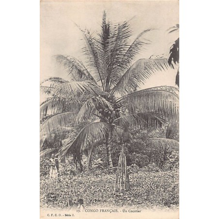 Rare collectable postcards of CONGO BRAZZAVILLE. Vintage Postcards of CONGO BRAZZAVILLE