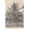 Rare collectable postcards of CONGO BRAZZAVILLE. Vintage Postcards of CONGO BRAZZAVILLE