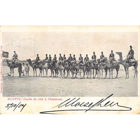 Rare collectable postcards of EGYPT. Vintage Postcards of EGYPT