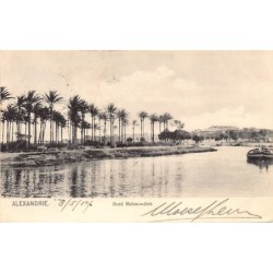Rare collectable postcards of EGYPT. Vintage Postcards of EGYPT