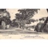 Rare collectable postcards of EGYPT. Vintage Postcards of EGYPT