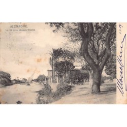 Rare collectable postcards of EGYPT. Vintage Postcards of EGYPT