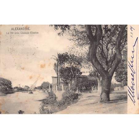 Rare collectable postcards of EGYPT. Vintage Postcards of EGYPT