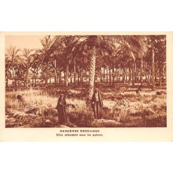 Rare collectable postcards of EGYPT. Vintage Postcards of EGYPT